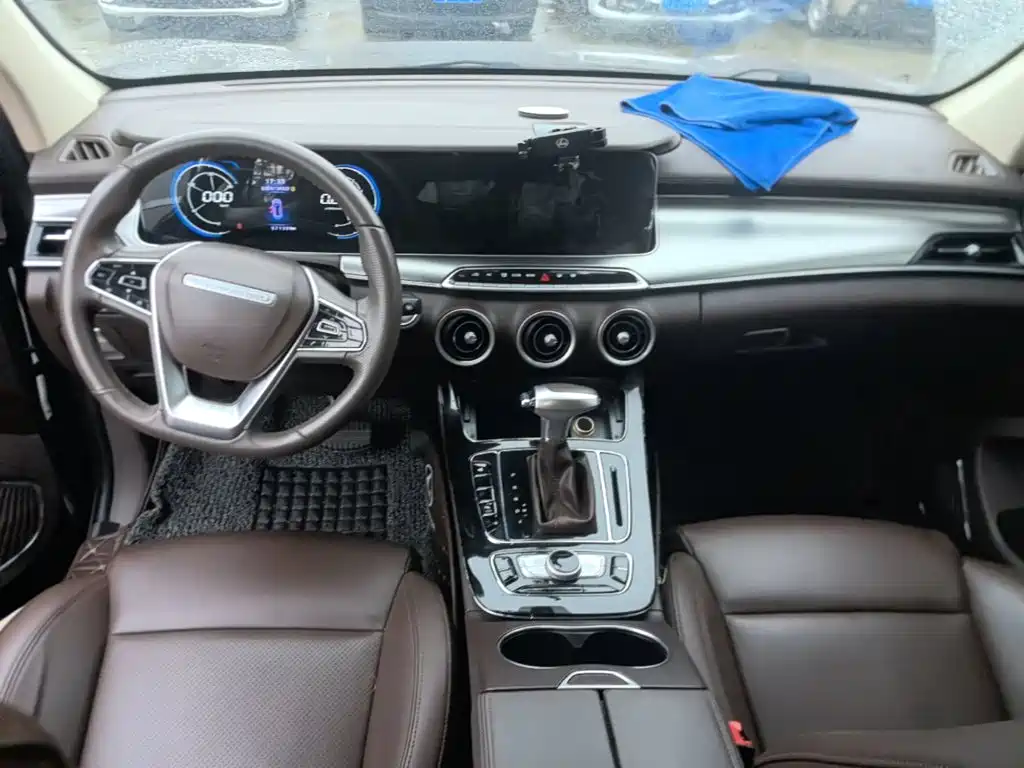 Leopaard Mattu — миниатюра 10