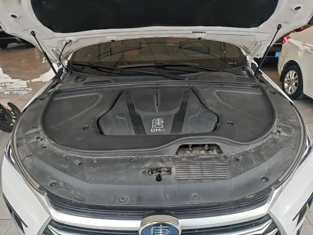 BYD Tang New Energy — миниатюра 20