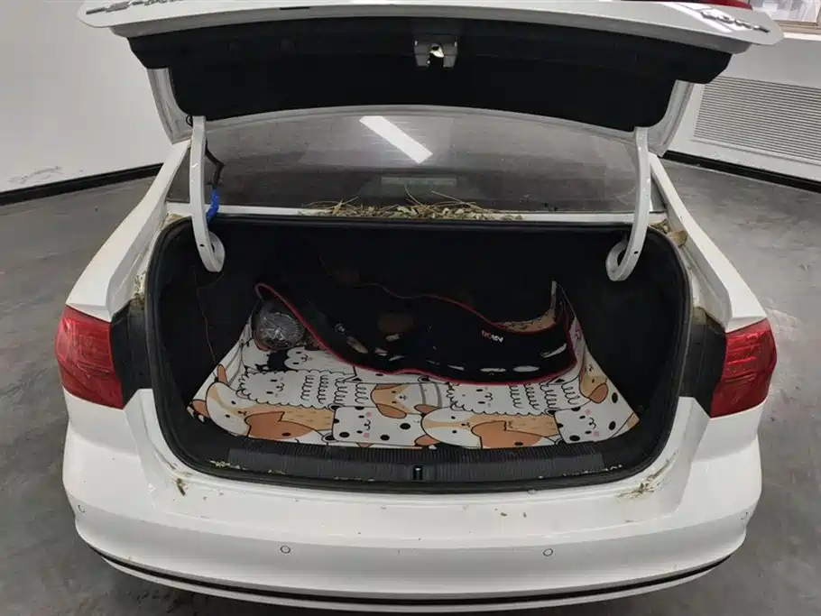 Volkswagen Bora 2019 1.5L AT Fashion VI