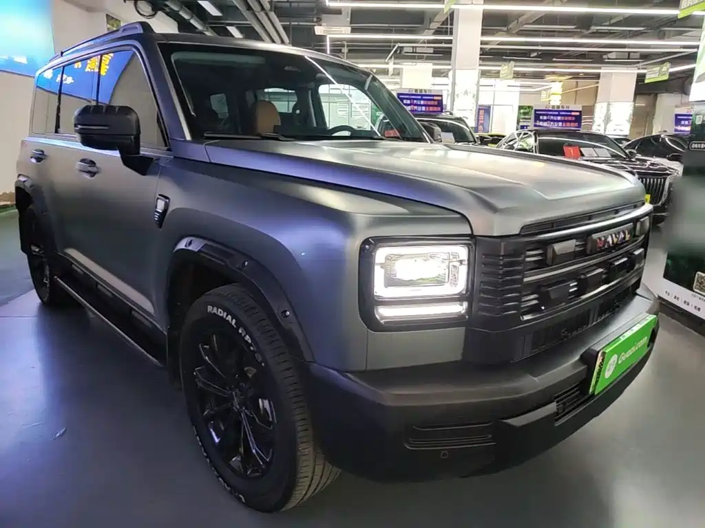 Haval Menglong New Energy — миниатюра 4