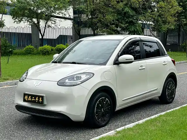 2024 Wuling Motors Binguo