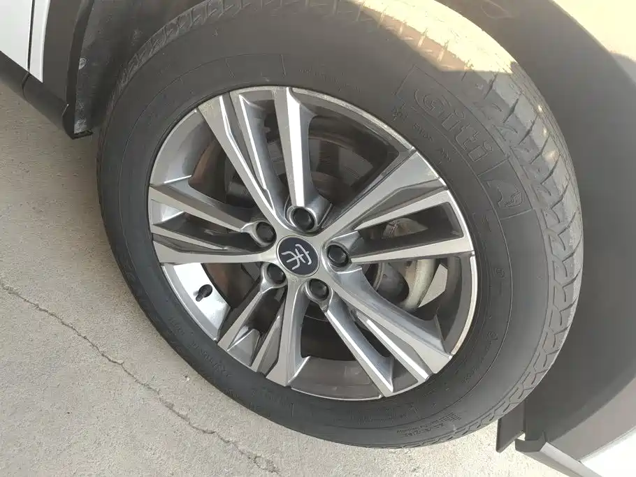 BYD Pro — миниатюра 6