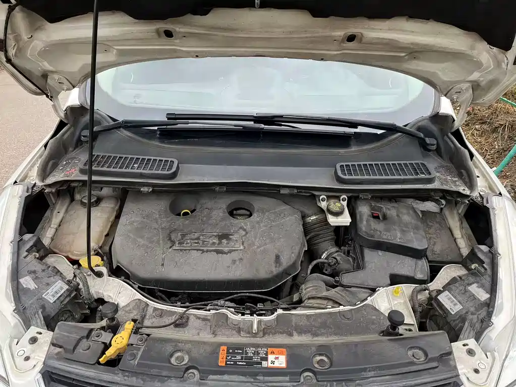 Ford Kuga 2.0L GTDi 4WD Elite Type, фото 4