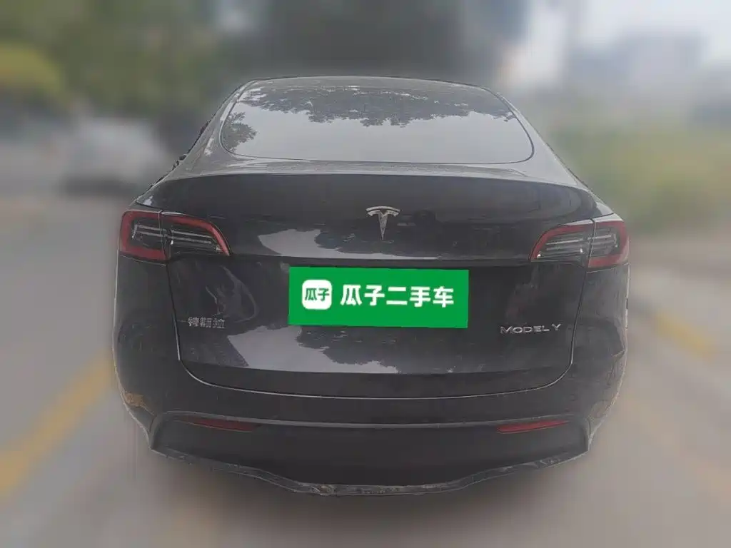 Tesla Model Y — миниатюра 3