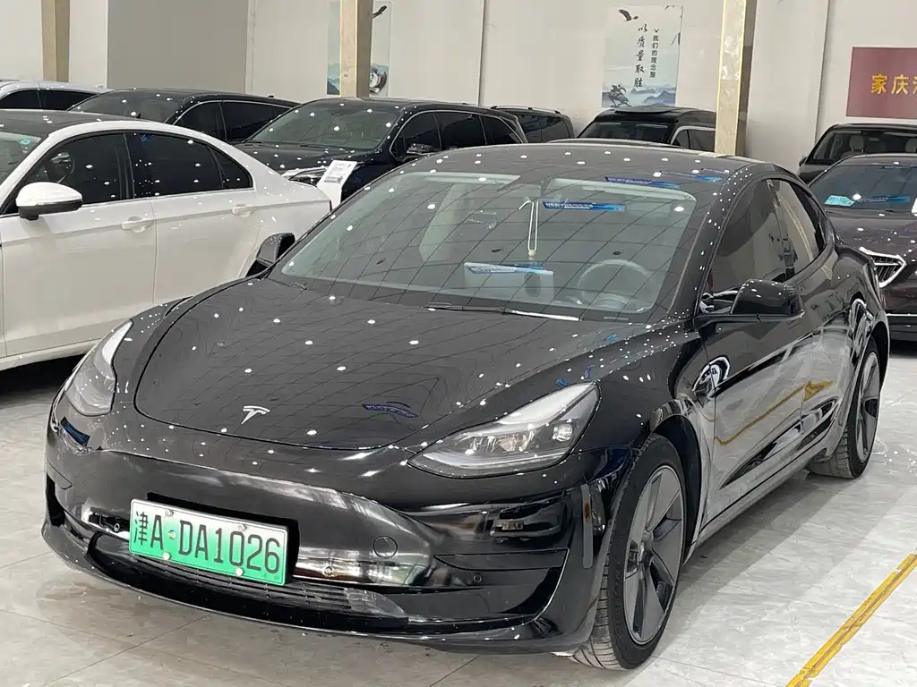 Tesla Model 3 2021