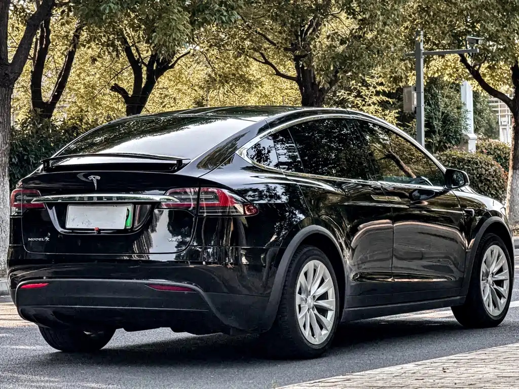 Tesla Model X — миниатюра 4