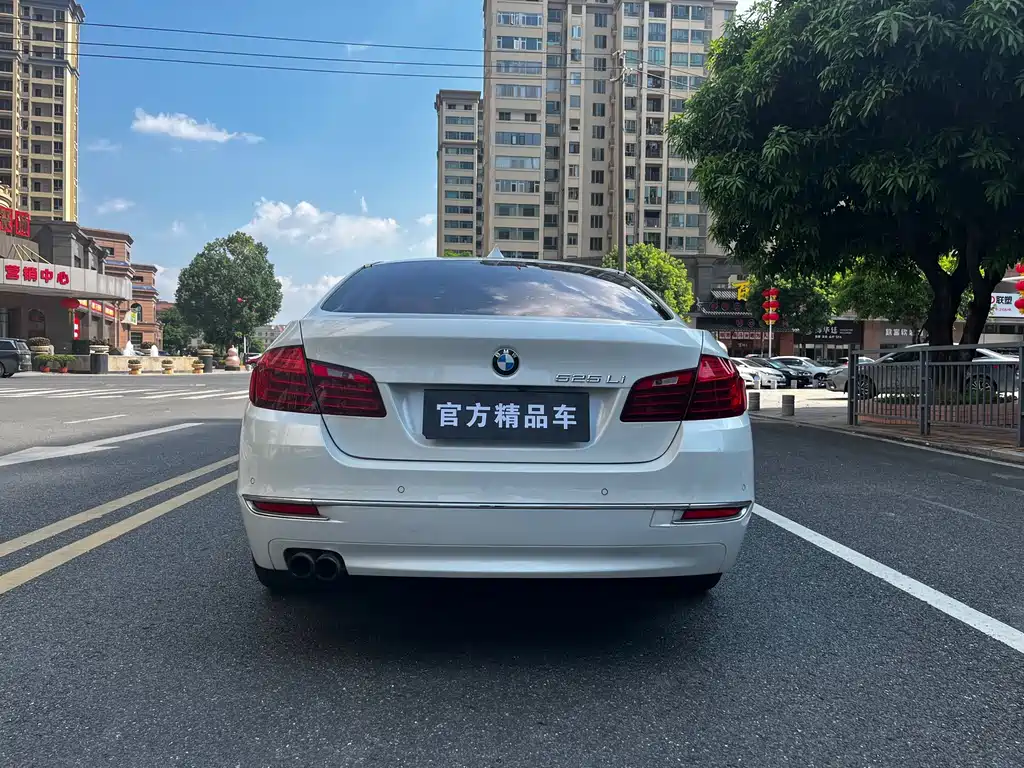 BMW 5 Series — миниатюра 5