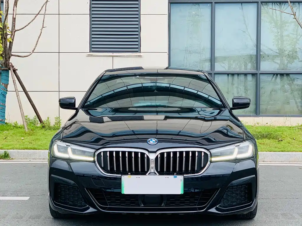BMW 5 Series New Energy — миниатюра 2