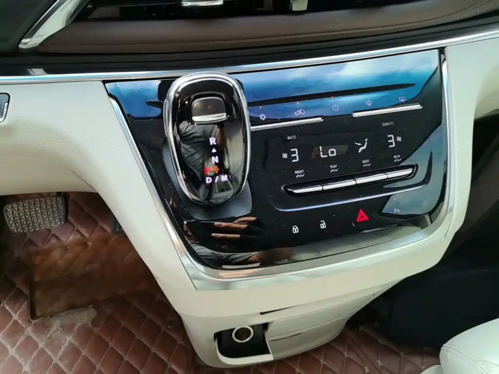 Buick GL8 — миниатюра 14