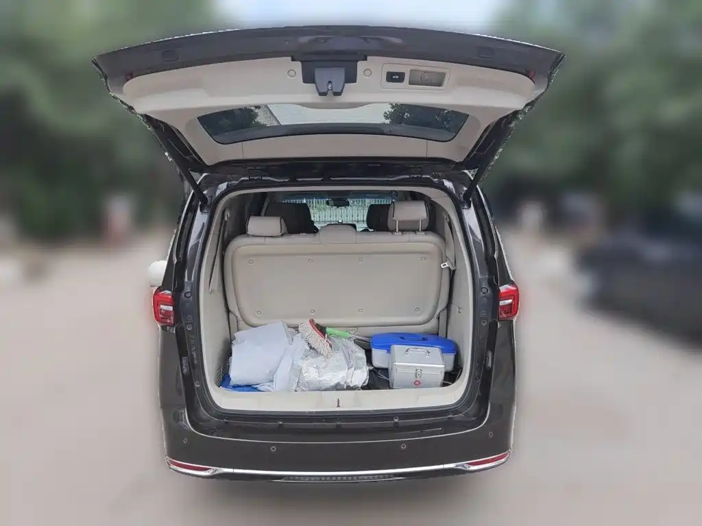 Buick GL8 — миниатюра 10
