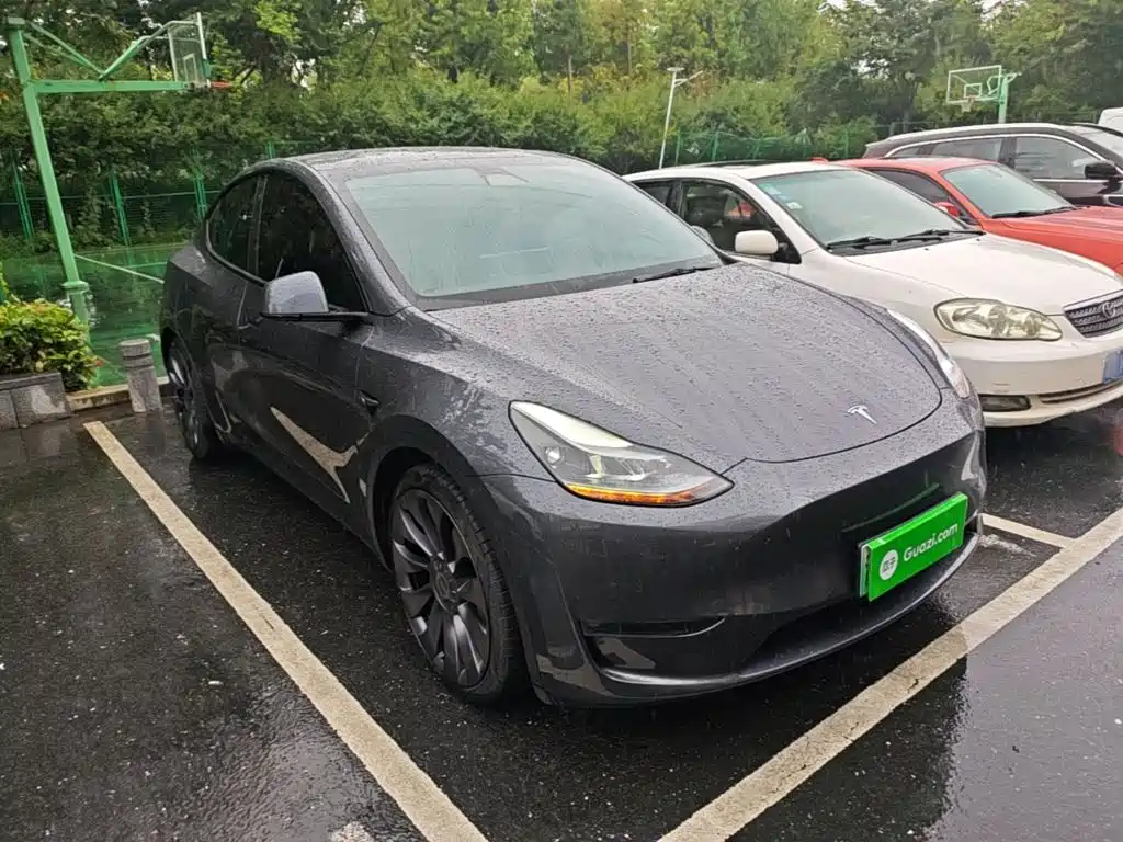 Tesla Model Y — миниатюра 4