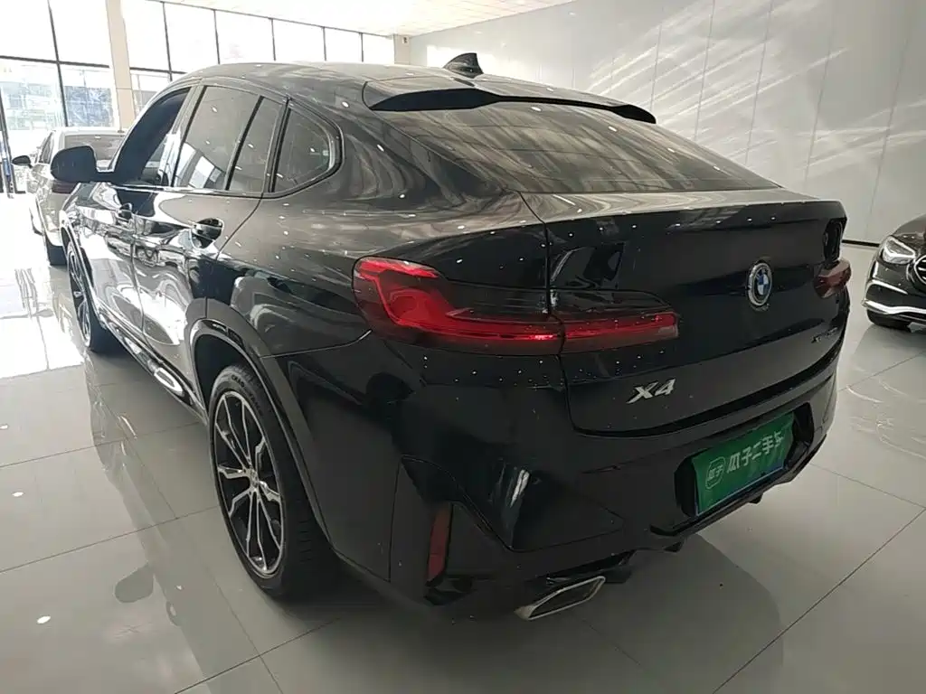 BMW X4 — миниатюра 5