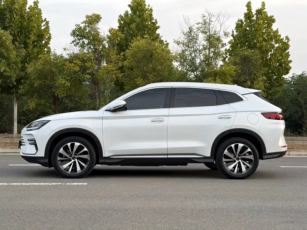 BYD PLUS New Energy — миниатюра 4