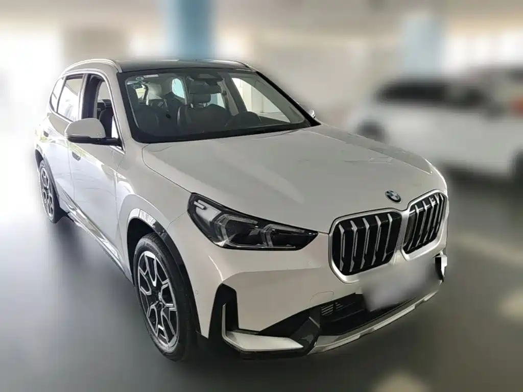 BMW X1 — миниатюра 6