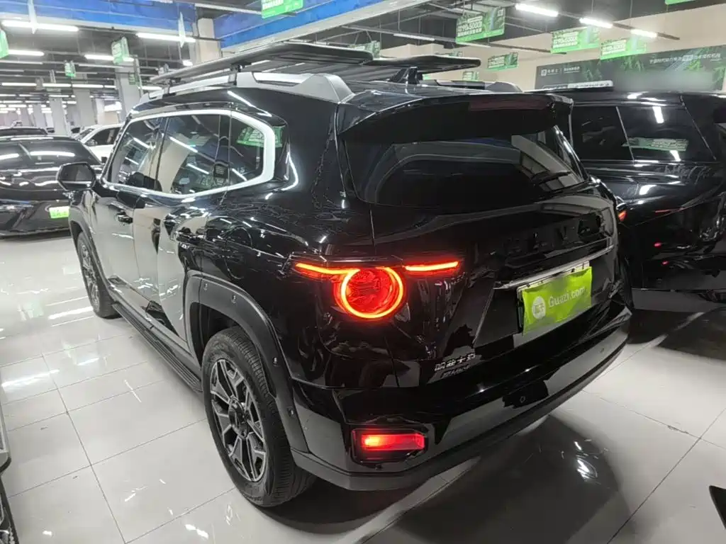 Haval Big Dog PLUS New Energy — миниатюра 5