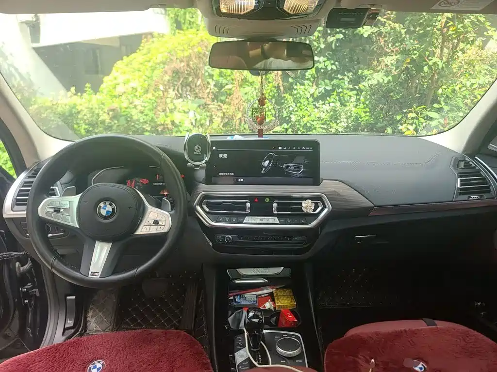 BMW X3 — миниатюра 5