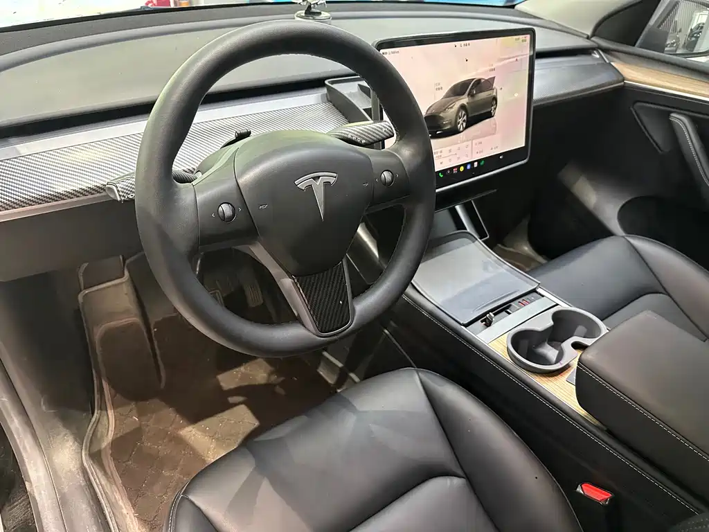 Tesla Model Y — миниатюра 3