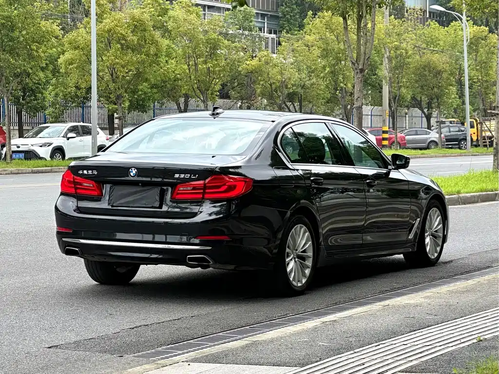 BMW 5 Series — миниатюра 4