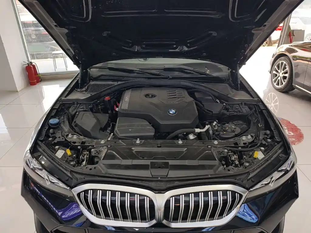 BMW 3 Series — миниатюра 20