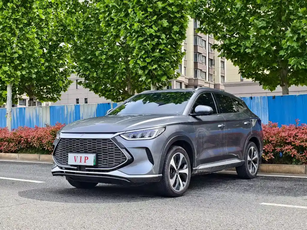 Byd PLUS New Energy 2024