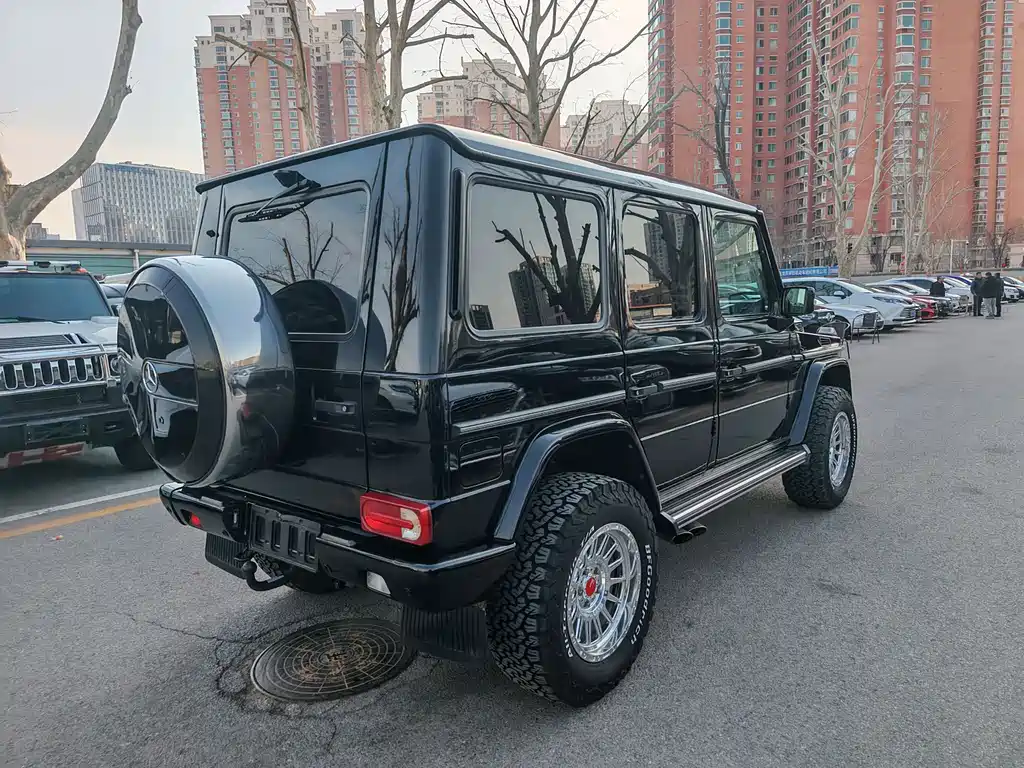 Mercedes-Benz G-Class G 2010 G 500