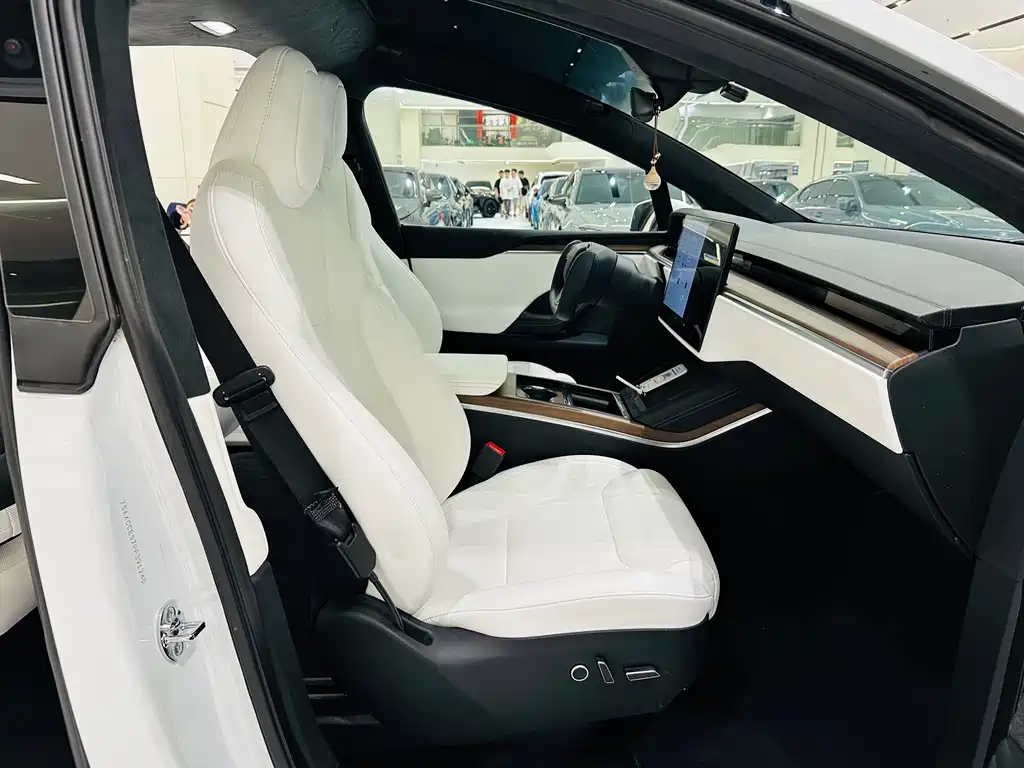 Tesla Model X — миниатюра 24