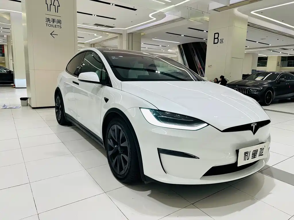 Tesla Model X — миниатюра 19