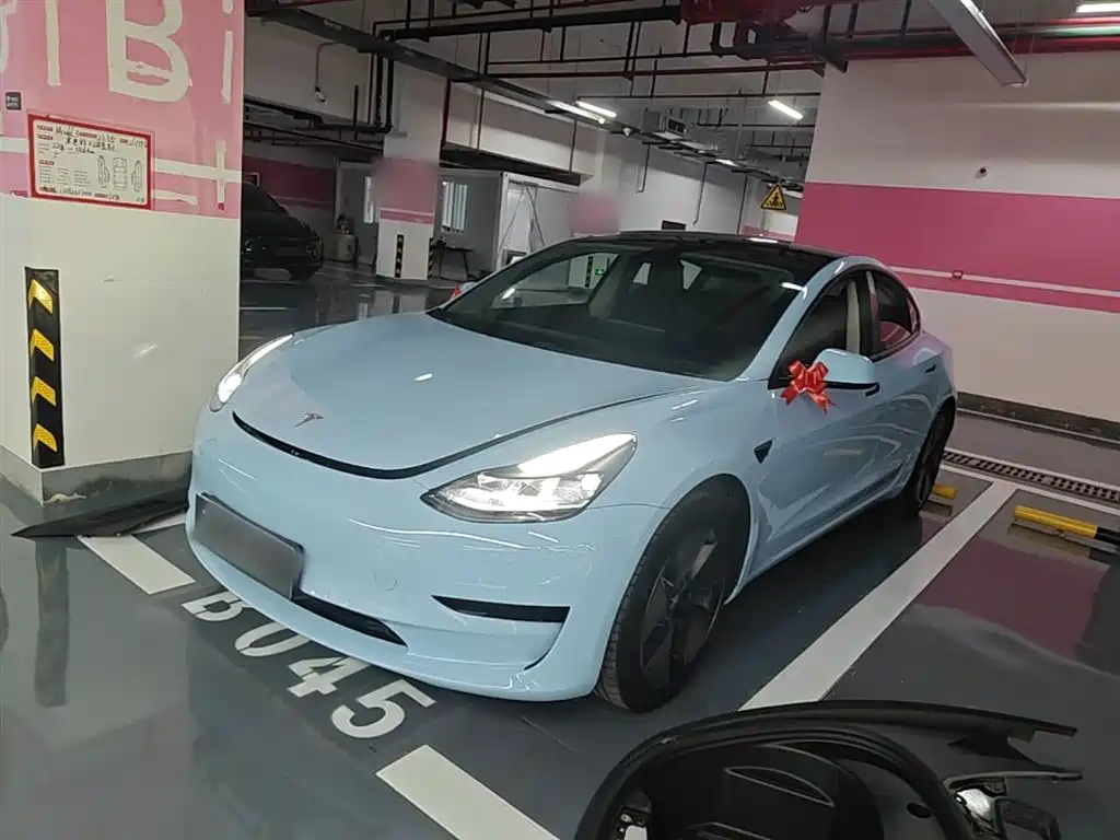Tesla Model 3 2022
