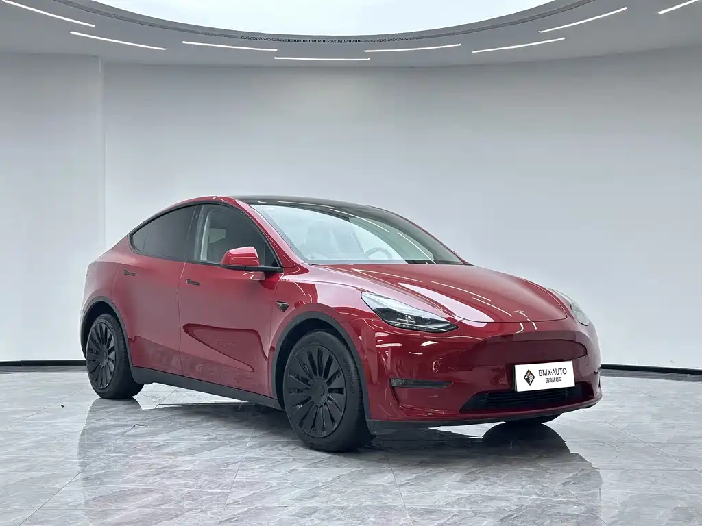 Tesla Model Y — миниатюра 7