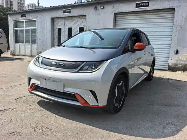2022 BYD Dolphin