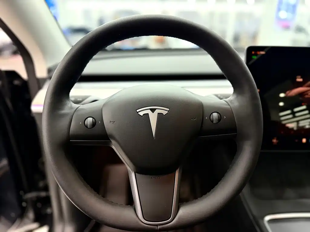 Tesla Model Y — миниатюра 13