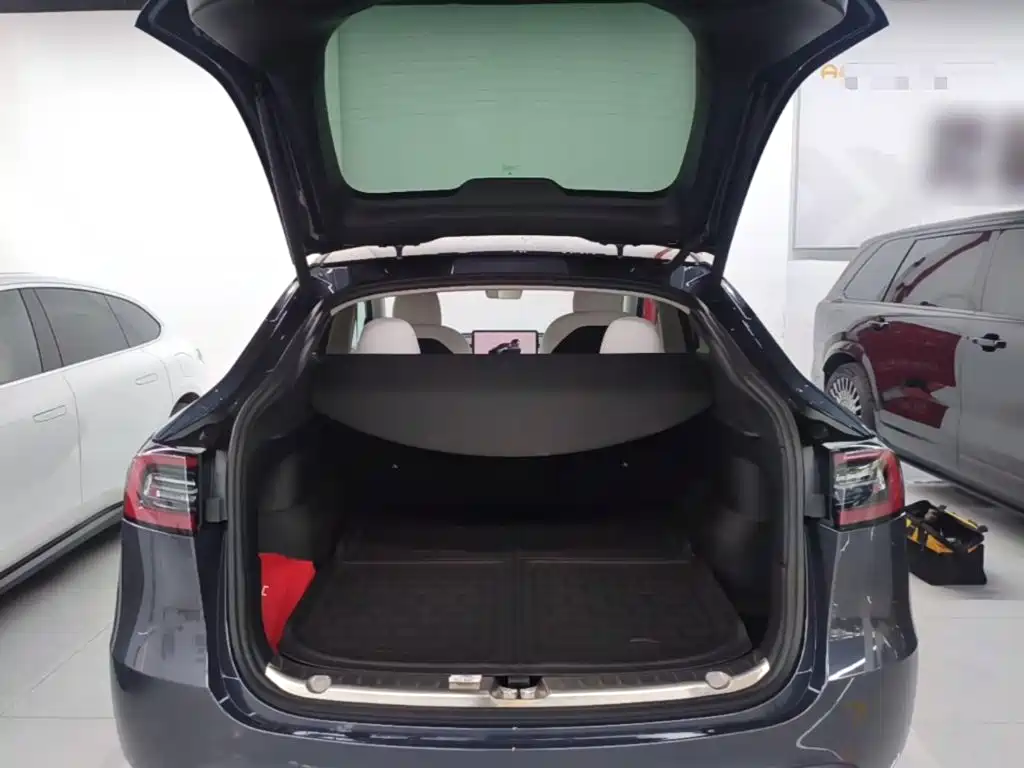 Tesla Model Y — миниатюра 19