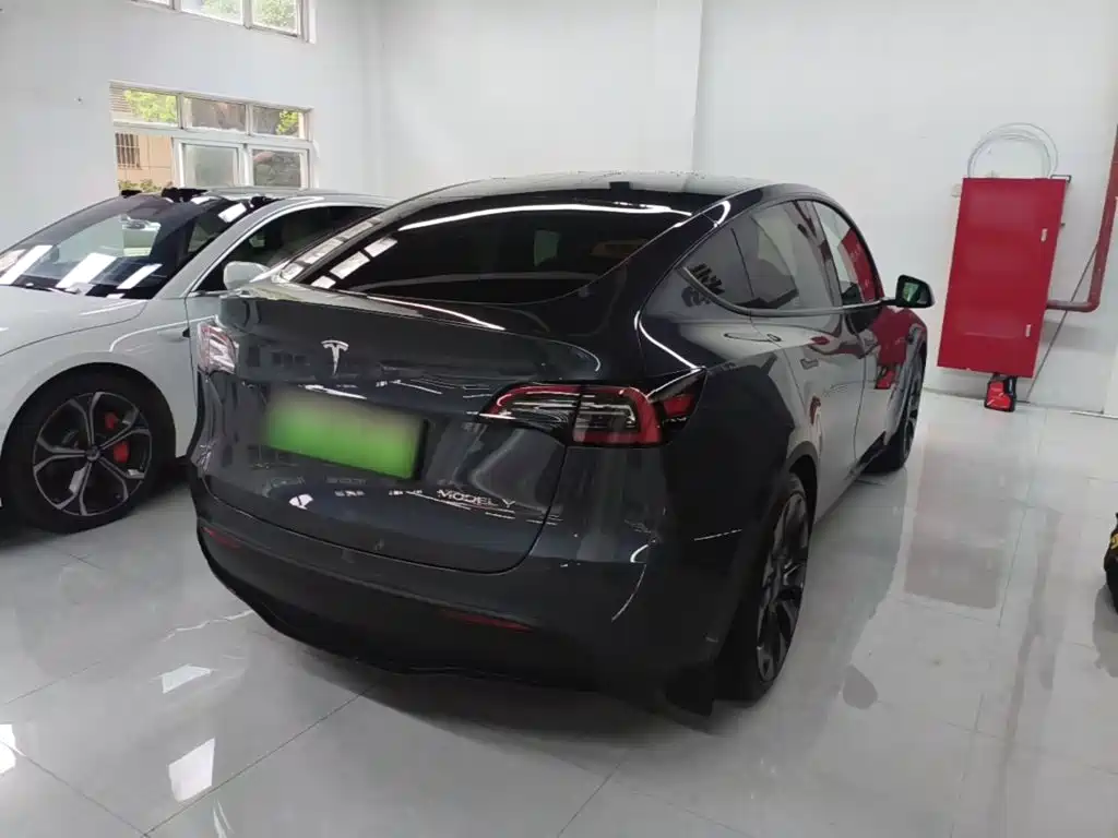 Tesla Model Y — миниатюра 7