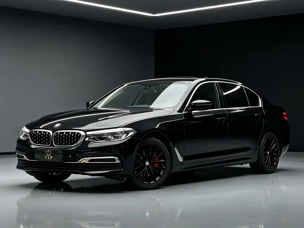 BMW 5 Series 5 2020 530Li Premium Luxury