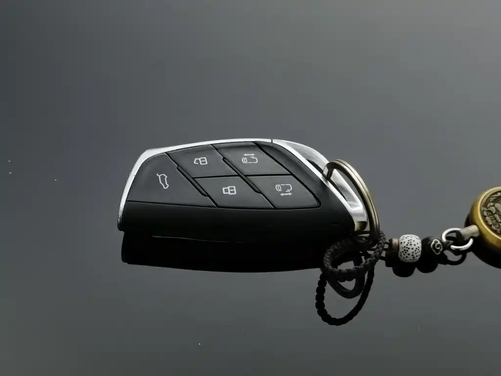 MAXUS G90 — миниатюра 19