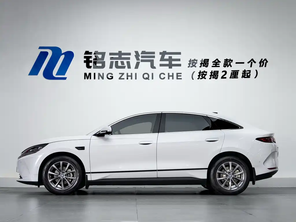 BYD QIN L