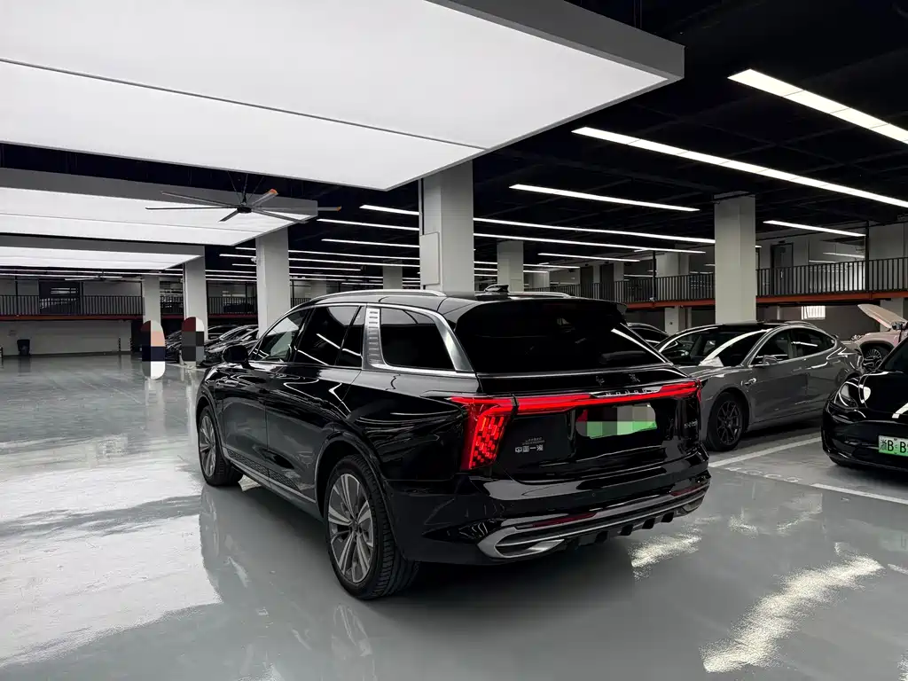 Hongqi Hongqi E-HS9 — миниатюра 18