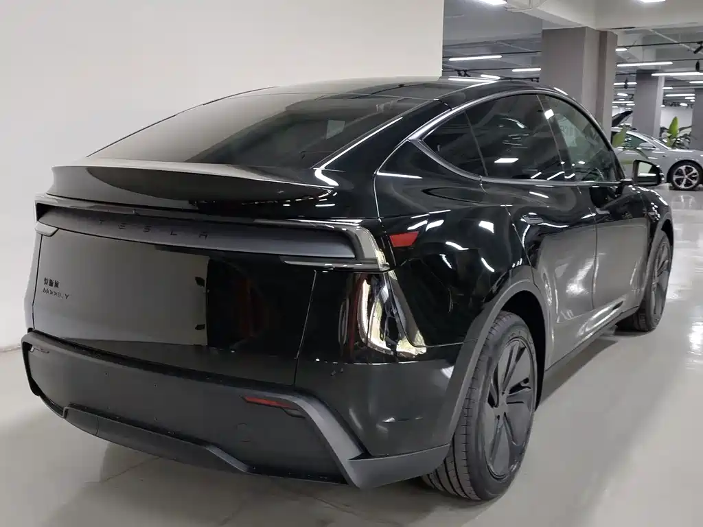 Tesla Model Y — миниатюра 9
