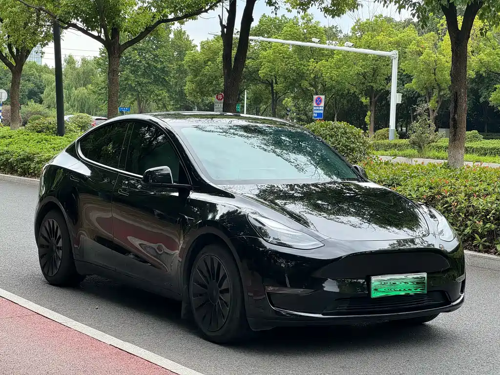 Tesla Model Y — миниатюра 3