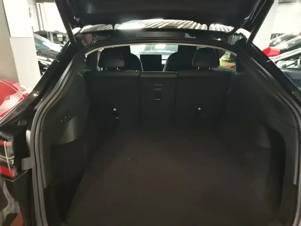 Tesla Model Y — миниатюра 19