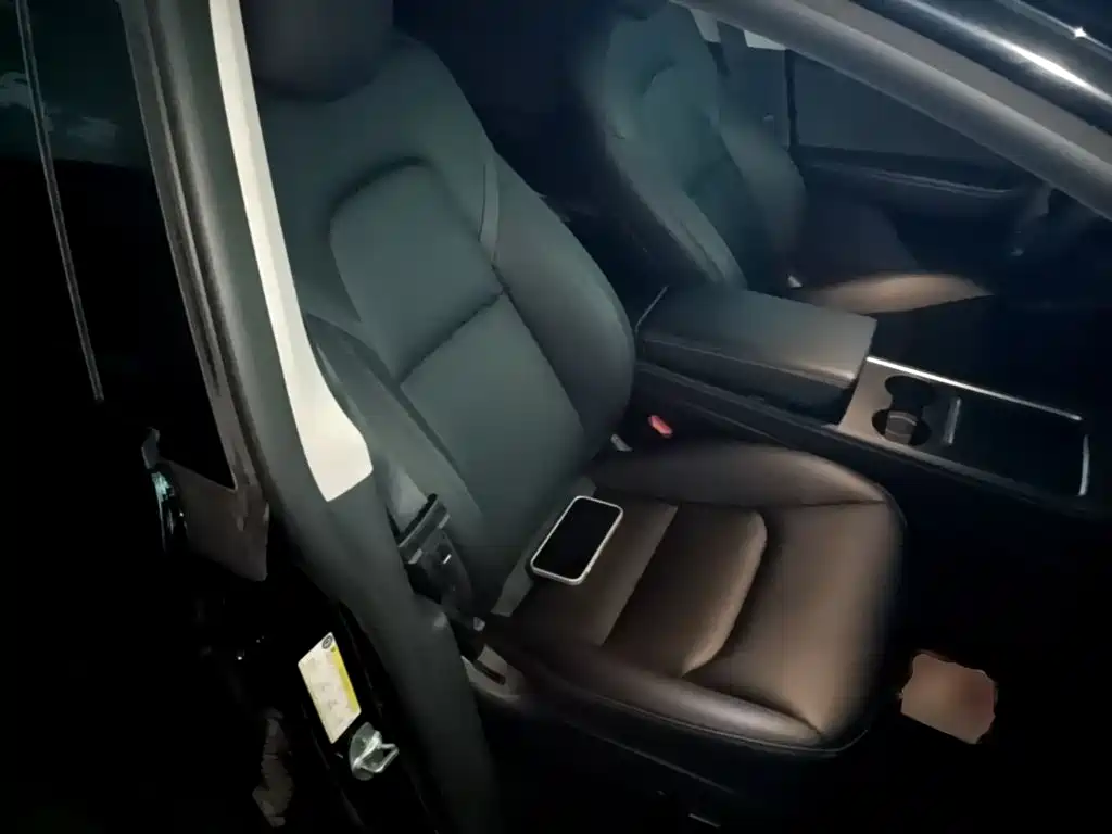 Tesla Model Y — миниатюра 25