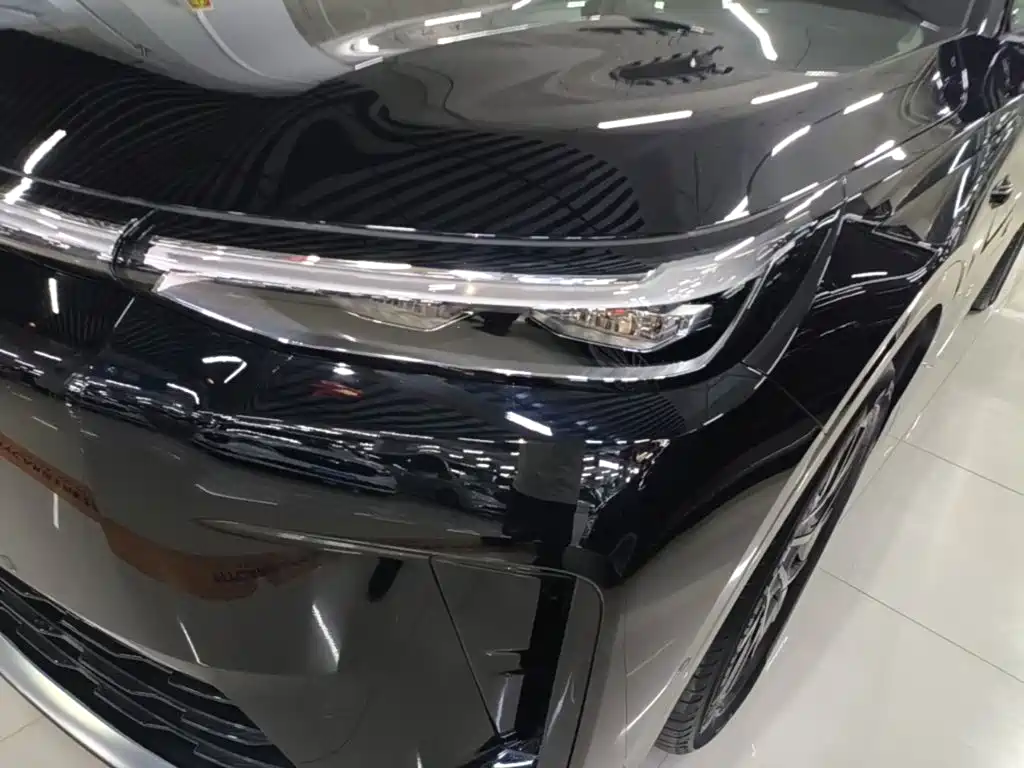 GAC Motor Trumpchi Xiangwang S9 — миниатюра 24
