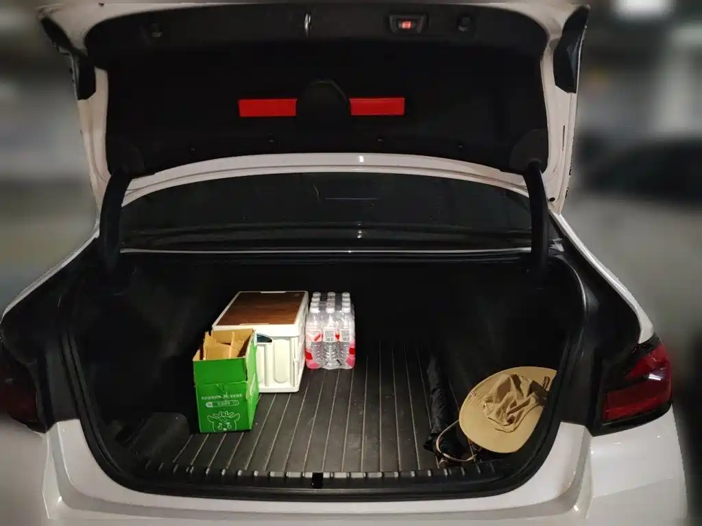 BMW 5 Series — миниатюра 10