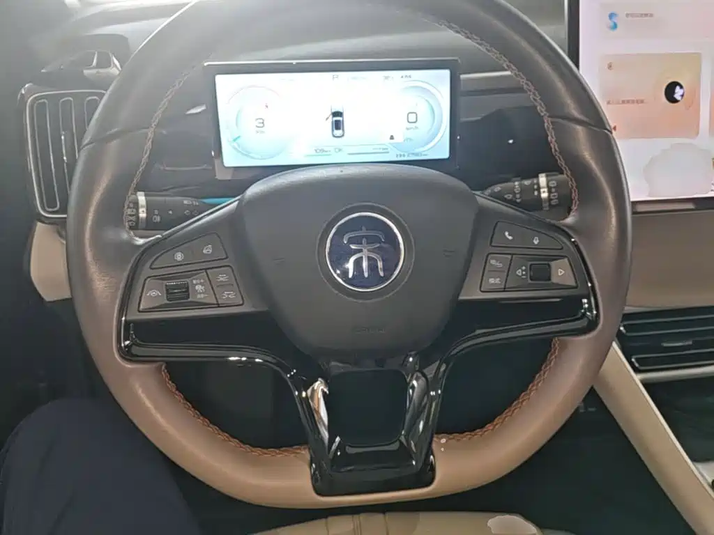BYD Pro New Energy — миниатюра 11