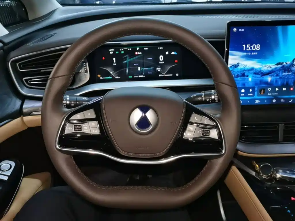 Denza Denza D9 — миниатюра 11
