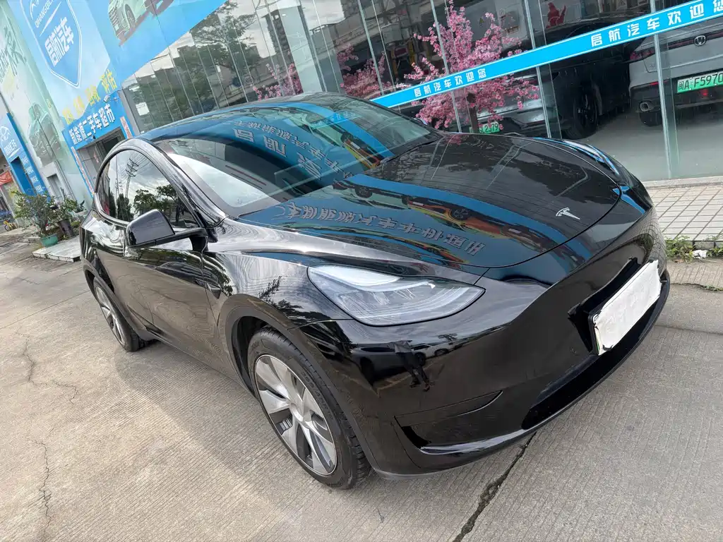 Tesla Model Y — миниатюра 3