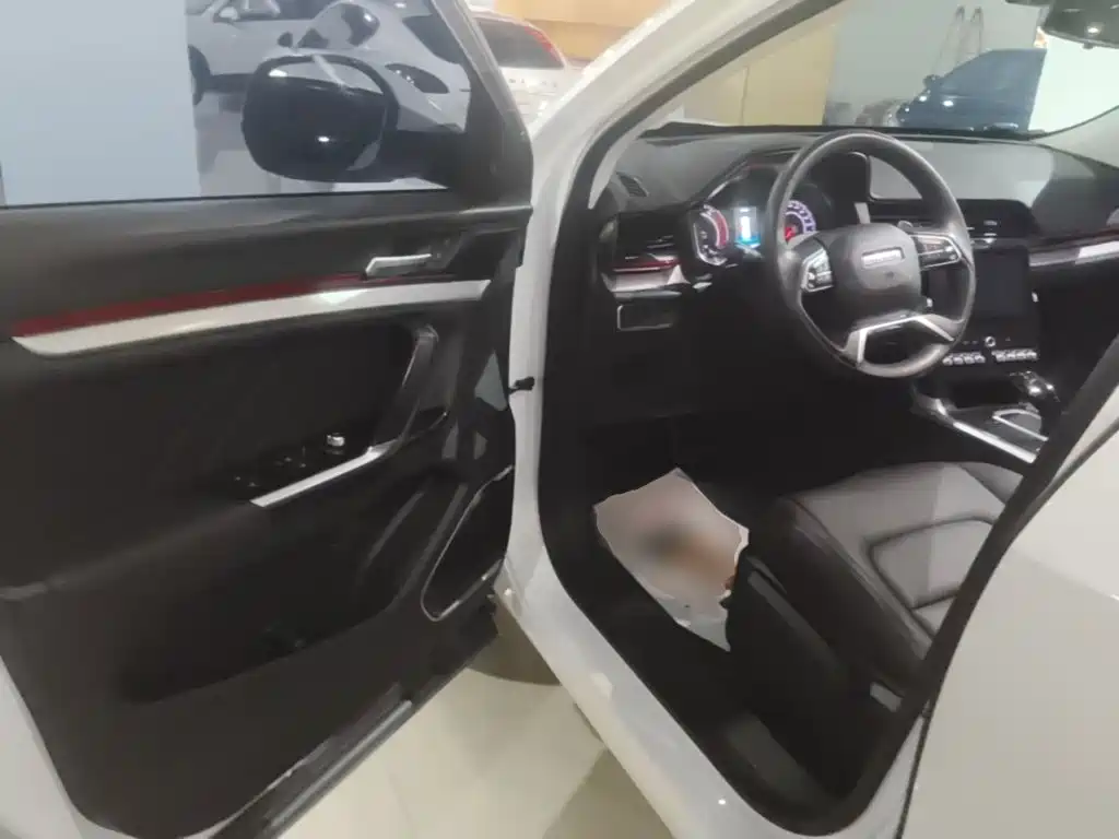 Haval H4 — миниатюра 16