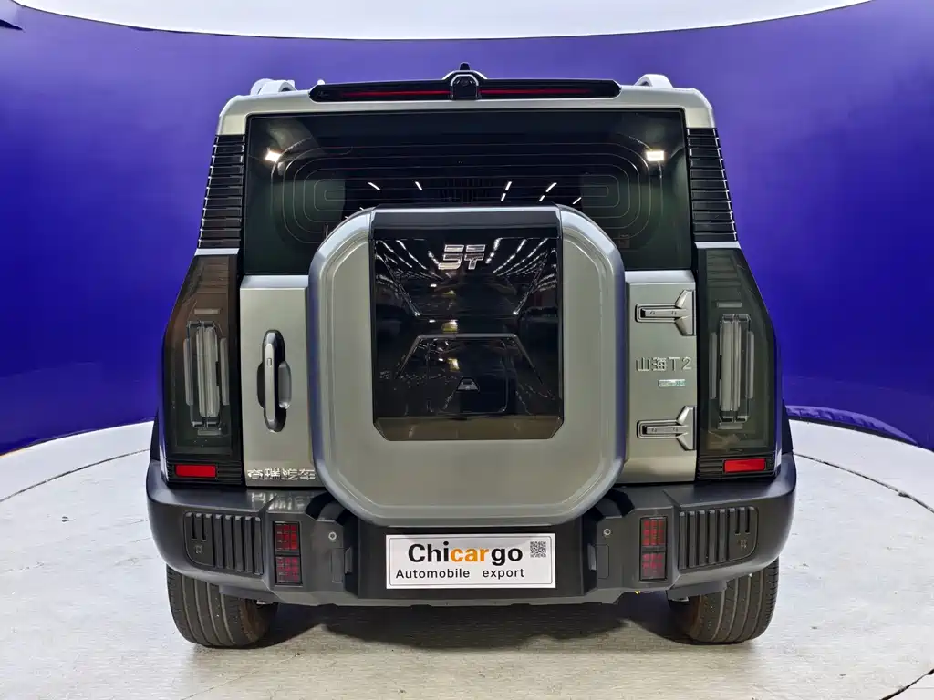 Shanhai Traveller C-DM — миниатюра 6