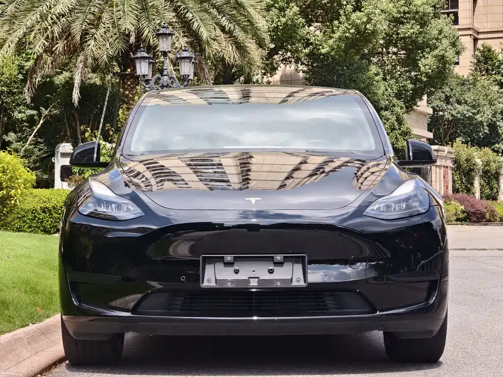 Tesla Model Y — миниатюра 2
