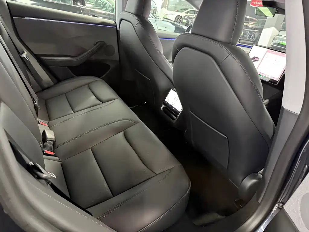Tesla Model 3 — миниатюра 12